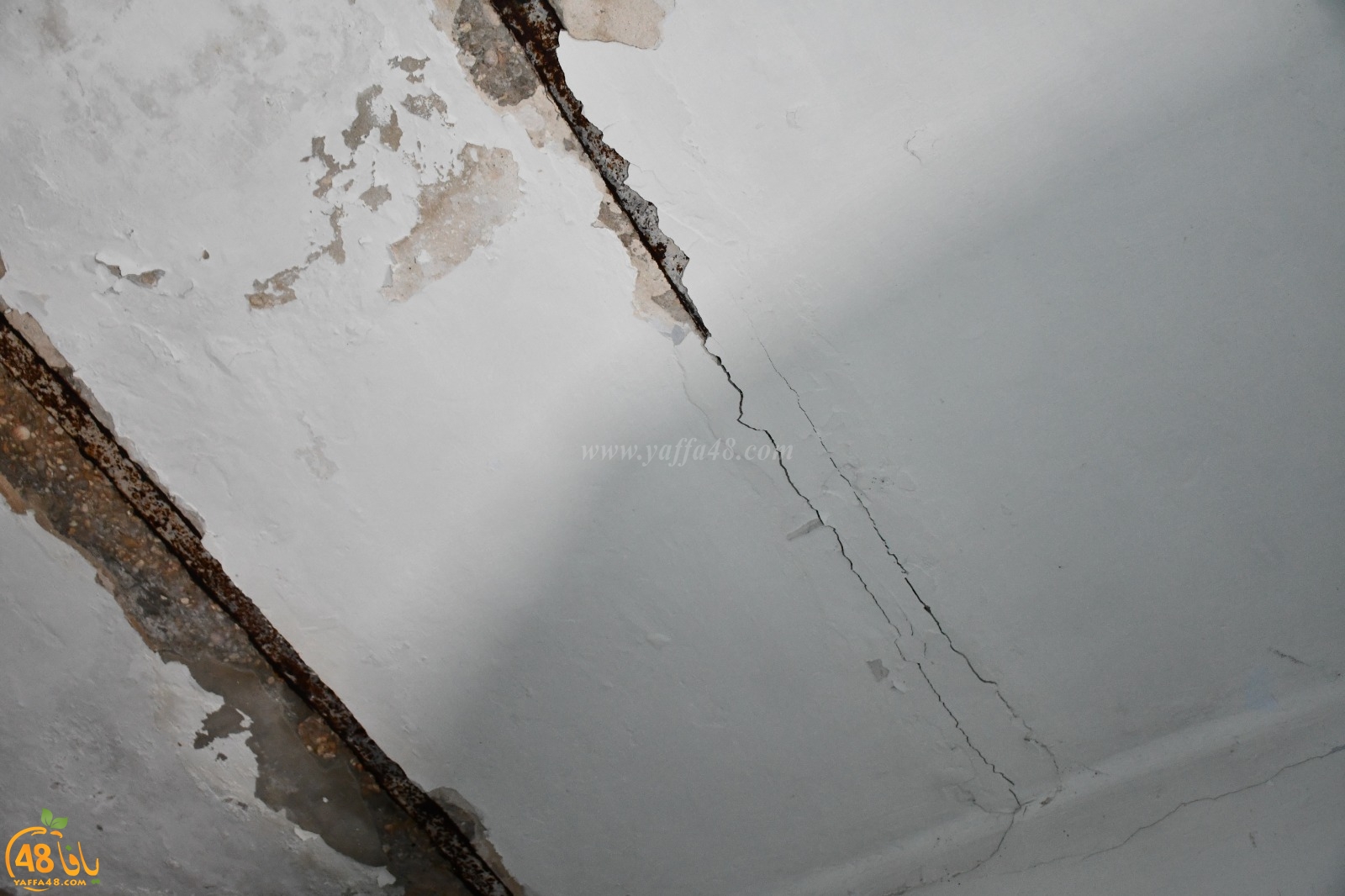 WhatsApp Image 2020-02-10 at 11.22.46 AM.jpeg.jpg.jpg